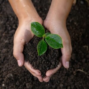 Premiun Garden Soil For Plants